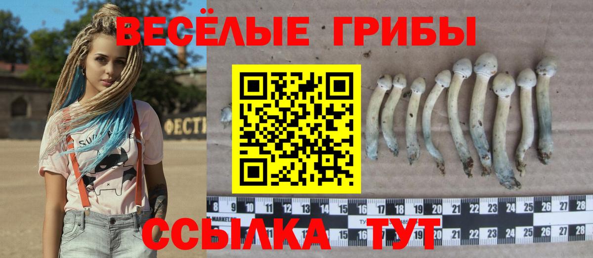 Псилоцибиновые грибы прущие грибы Пушкино